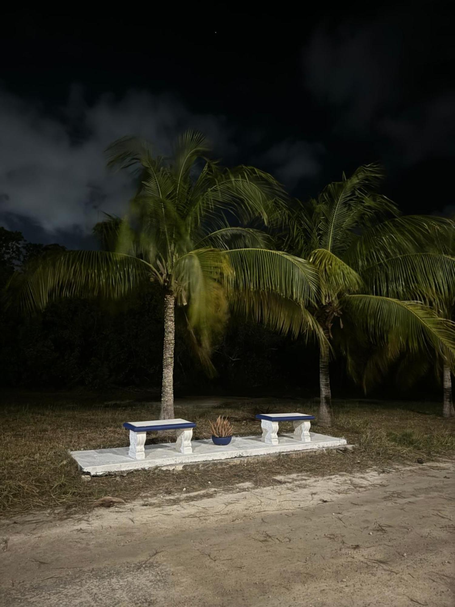 Caribbean Queen Cancun Dış mekan fotoğraf